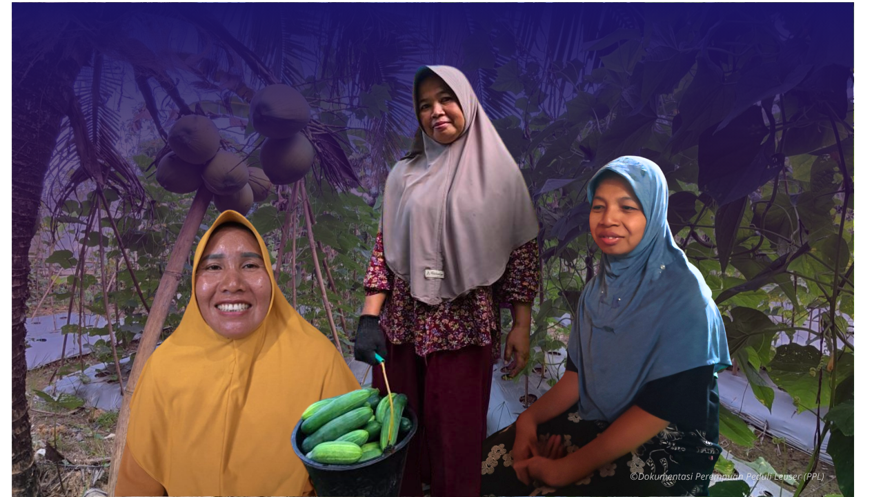 Tiga Serangkai Perempuan Milenial dalam Memori Bencana dan Penggunaan Internet di Desa